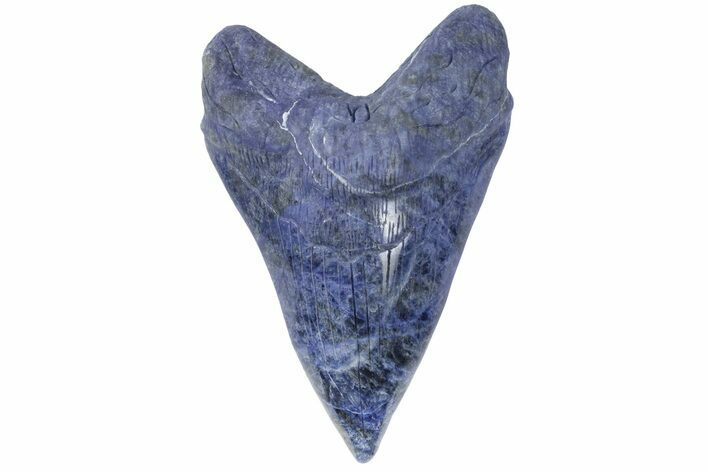 Realistic, 7.4" Carved Sodalite Megalodon Tooth - Replica